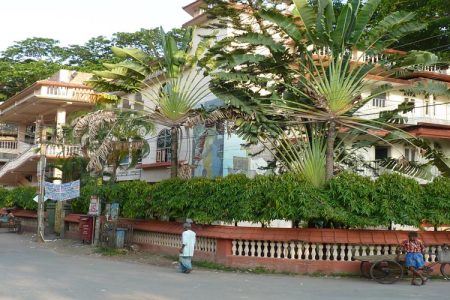 Barasat Escorts Service